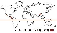 レッサーパンダ世界分布図
